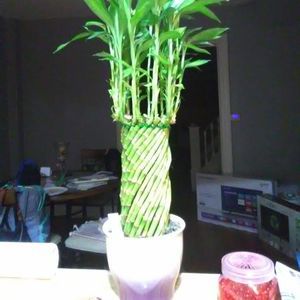 Meet your Posher, Wendy